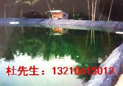 水产养殖膜防渗专用土工膜0.35mm.0.5mm养殖土工HDPE防渗地膜水产养殖
